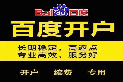 电商信息流广告推广成功案例分享